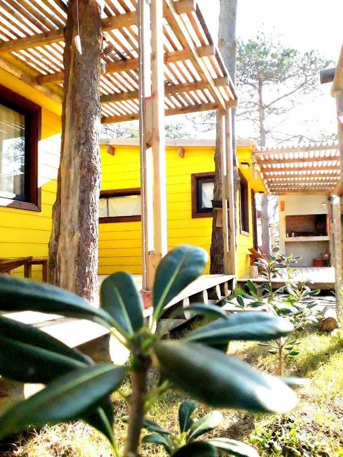 Diabro'S Villa ปุนตาเดลดีอาโบล ภายนอก รูปภาพ